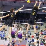 10 Best Seats for Volleyball Game