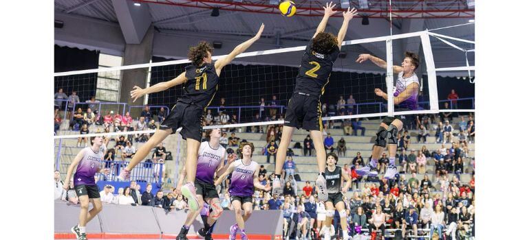10 Best Seats for Volleyball Game