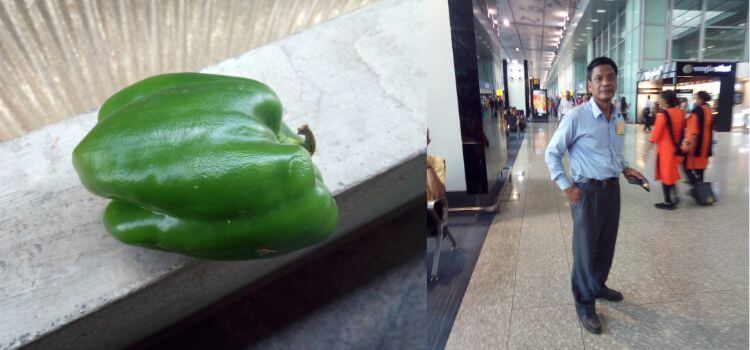 I asked to buy Papaya but my maternal uncle brought capsicum