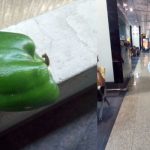 I asked to buy Papaya but my maternal uncle brought capsicum